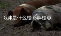 G胖是什么梗 G胖梗意思介绍